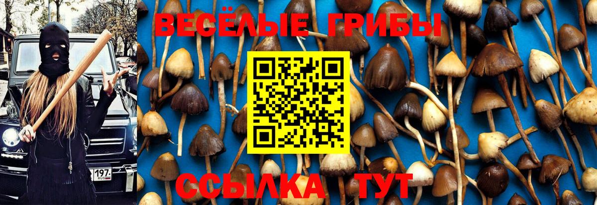 Назрань  Галлюциногенные грибы мицелий  Вход с VPN 